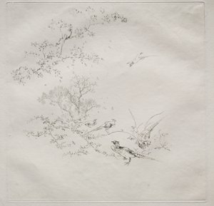 Servizio parigino (servizio Haviland) da Felix Bracquemond