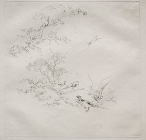 Servizio parigino (servizio Haviland): Nebbia (n. 1)