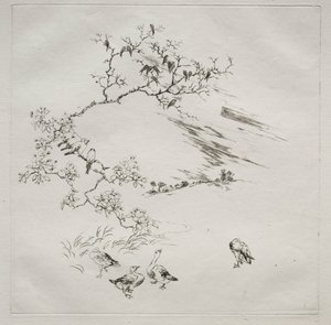 Servizio parigino (servizio Haviland): Notte (n. 7) da Felix Bracquemond