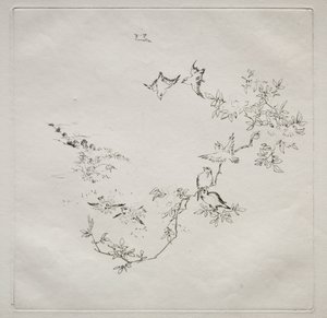 Servizio parigino (servizio Haviland): Alba (n. 12) da Felix Bracquemond