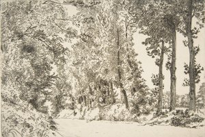 Rue des Bruyères, a Sèvres da Felix Bracquemond