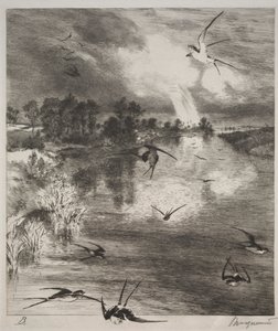 Rondini, 1882
