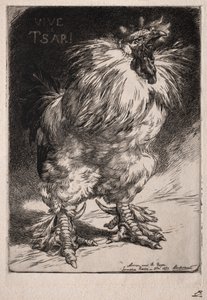 Il gallo francese da Felix Bracquemond
