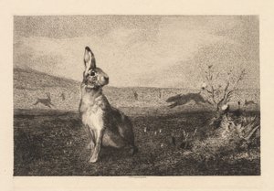La lepre da Felix Bracquemond