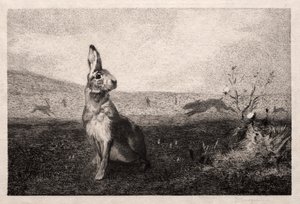 La lepre (dopo A. de Balleroy) da Felix Bracquemond