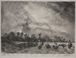 La nuvola di tempesta