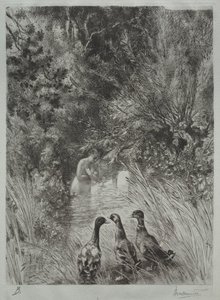 Le Anatre Sorpresi