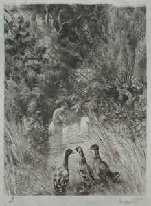 Le anatre sorprese