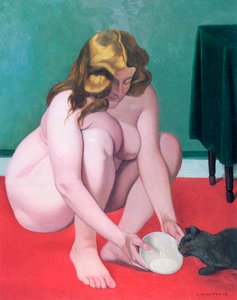 Donna con un gatto, 1919 da Felix Edouard Vallotton