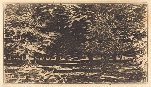 Foresta da Felix Hilaire Buhot