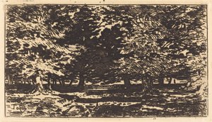 Foresta da Felix Hilaire Buhot