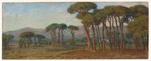 Paesaggio esteso con un villaggio e una collina in lontananza