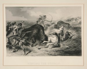 Caccia al Bufalo da Felix O. C. Darley