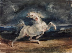 Cavallo spaventato dal fulmine da Ferdinand Victor Eugene Delacroix