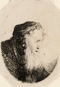 Vecchio con barba fluente da Ferdinand Bol