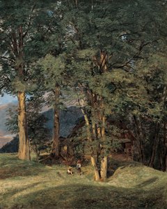 Alberi di acero presso Ischl da Ferdinand Georg Waldmuller