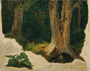 Studio di albero da Ferdinand Georg Waldmuller