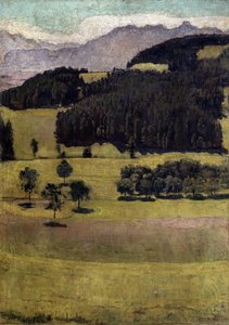 Paesaggio, Querce a Stockhorn da Ferdinand Hodler