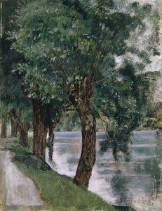 Salici al Rodano, c.1885