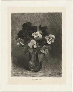 Violette in un vaso