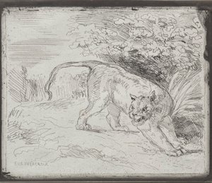 Una tigre intrappolata da Ferdinand Victor Eugene Delacroix