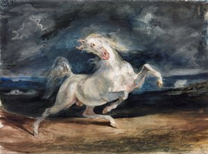 Cavallo spaventato dal fulmine da Ferdinand Victor Eugene Delacroix