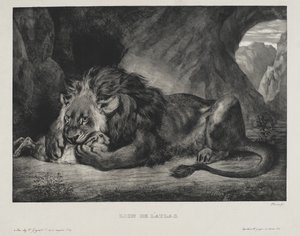 Leone dell