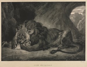 Leone dell