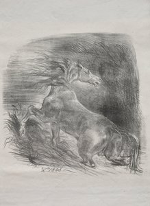 Il cavallo selvaggio, o cavallo spaventato che lascia l