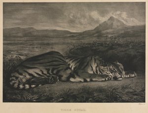 Tigre Reale, 1829