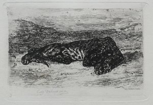 Tigre sdraiata nel deserto da Ferdinand Victor Eugene Delacroix