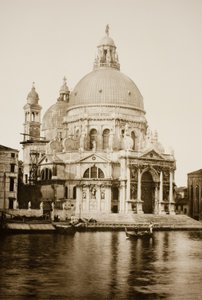 Senza titolo (41)
