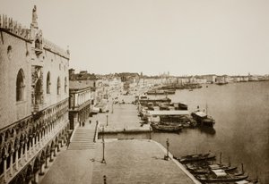 Senza titolo (89)