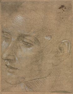 Testa di un giovane uomo, seconda metà del 1400