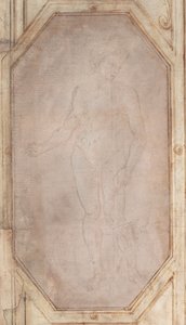 Giovane nudo in piedi