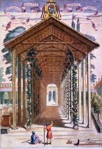 Un passaggio coperto a pergolato, da 