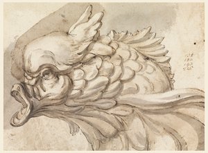 Testa di un delfino da Filippo Marchionni