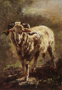 Capra da Filippo Palizzi