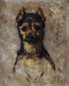 Testa di cane da Filippo Palizzi