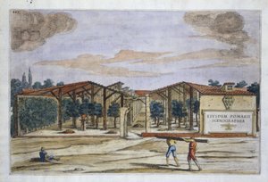 Un frutteto coperto, da Hesperides di Giovanni Battista Ferrari, inciso da Camillo Congio da Filippo after Gagliardi