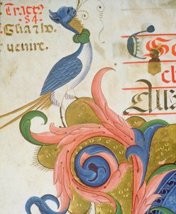 Messale 515 f.28v Uccello fantastico con testa umana, (dettaglio) da Filippo di Matteo Torelli
