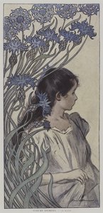 Fiori animati. Il Fiordaliso. (litografia a colori) da Firmin (after) Bouisset