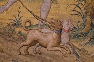 Serie Favola di Ovidio: Il rapimento di Ganimede. Atelier Willem de Pannemaker, Bruxelles. Prima del 1556. (dettaglio)