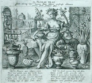 Flora (incisione) da Flemish School