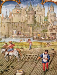 Mese di ottobre: Semina, da Breviarium Grimani, c.1515 da Flemish School