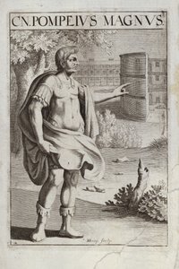 Gneo Pompeo Magno da Flemish School