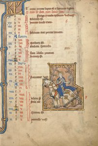 MS 14 f.5, Maggio: Falconeria, c.1250 da Flemish School