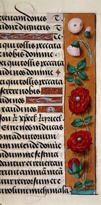 Ms. 1058-1975, f.120r: (dettaglio) di un bordo floreale da un Libro d