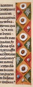 Dettaglio di un bordo floreale da un Libro d