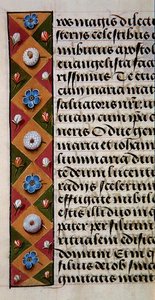 Ms. 1058-1975, f.16r: (dettaglio) di un bordo floreale da un Libro d